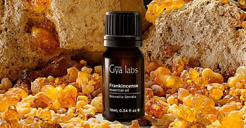 8 Frankincense Important Oil Makes use of and Advantages for Therapeutic