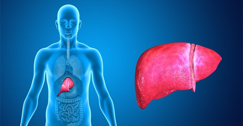 Natural Option to Cleanse Your Liver from Toxins