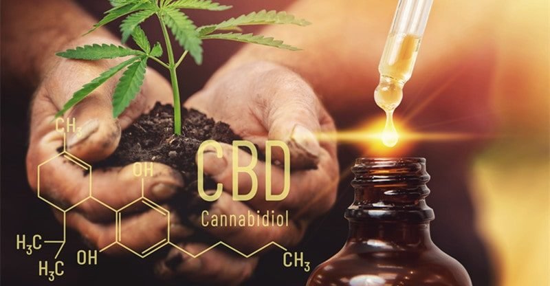 How To Use CBD Oil For Basic Wellness