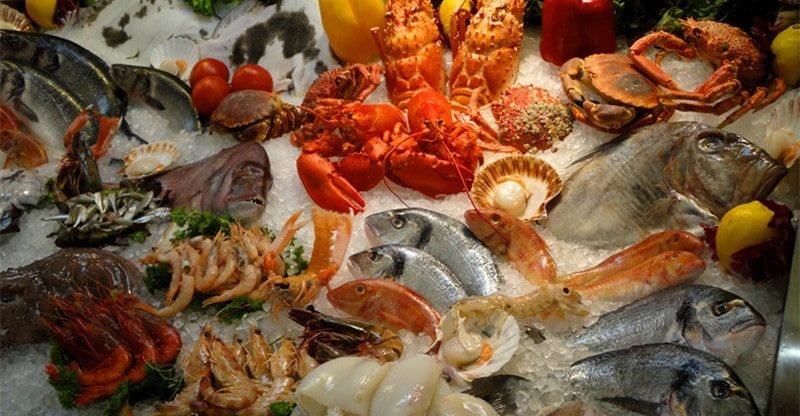 Why Consuming Seafood Can Be Good For Your Well being