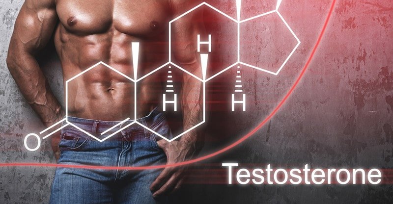 Complement Concepts For Enhancing Testosterone Manufacturing