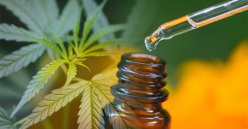 Seven Issues You Should Think about Earlier than Shopping for CBD In 2022