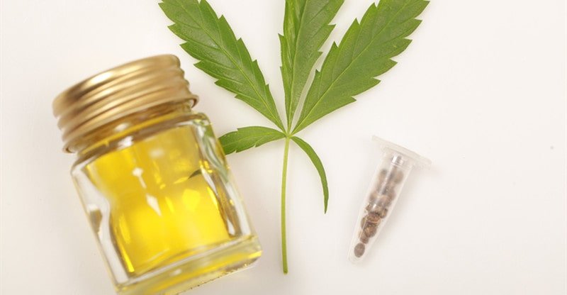 Is CBD Oil a Remedy for Despair?