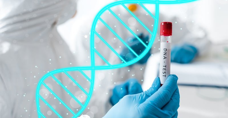 Discover Secrets and techniques Your DNA Is Hiding: Issues to Know Earlier than Taking a Genetic Check