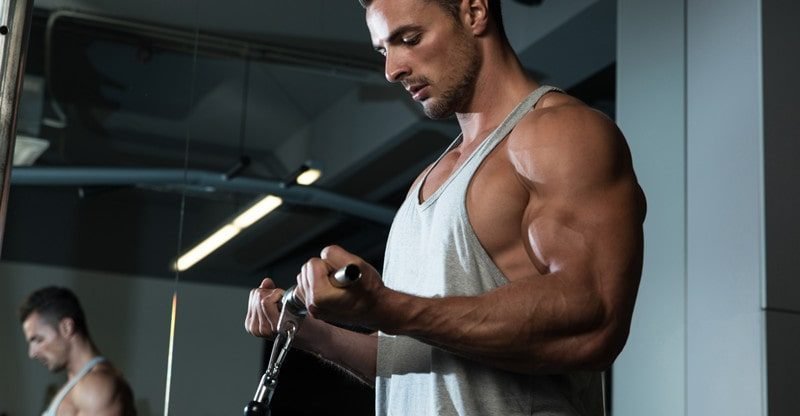 How Testosterone Boosters Work To Assist You Construct Muscle Quicker