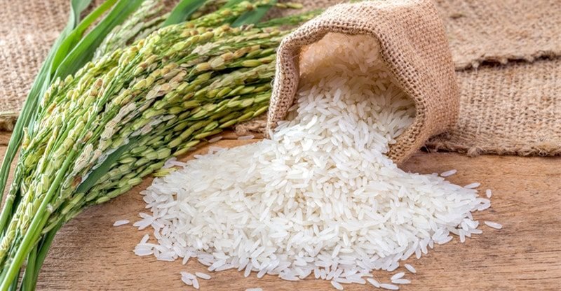 Study Extra About Rice And Its Varieties  